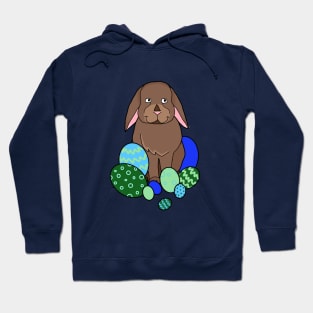 Easter bunny design Hoodie